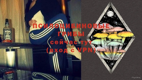 стафф Алексеевка
