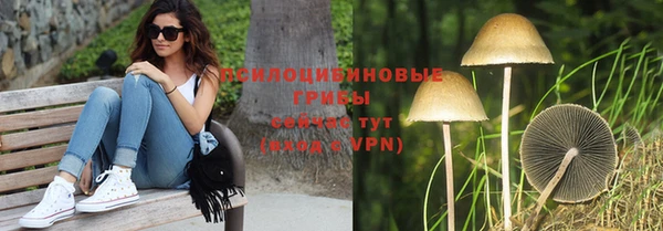 прущие грибы Алексин
