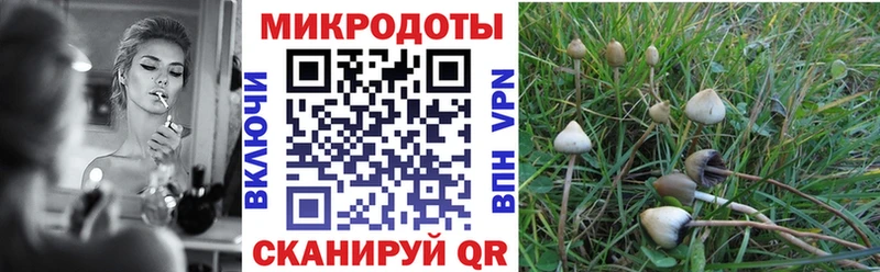 кракен онион  Черноголовка  Псилоцибиновые грибы мицелий 